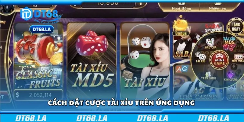 Cách đặt cược tài xỉu trên ứng dụng 